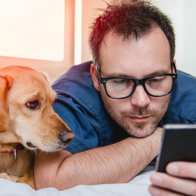 Tips for Making Pet-Friendly Hotel Bookings