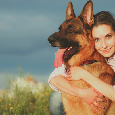 Tips for a Comfortable Pet Vacation