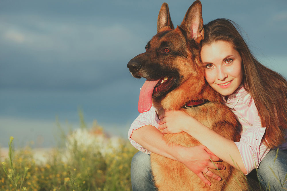 Tips for a Comfortable Pet Vacation