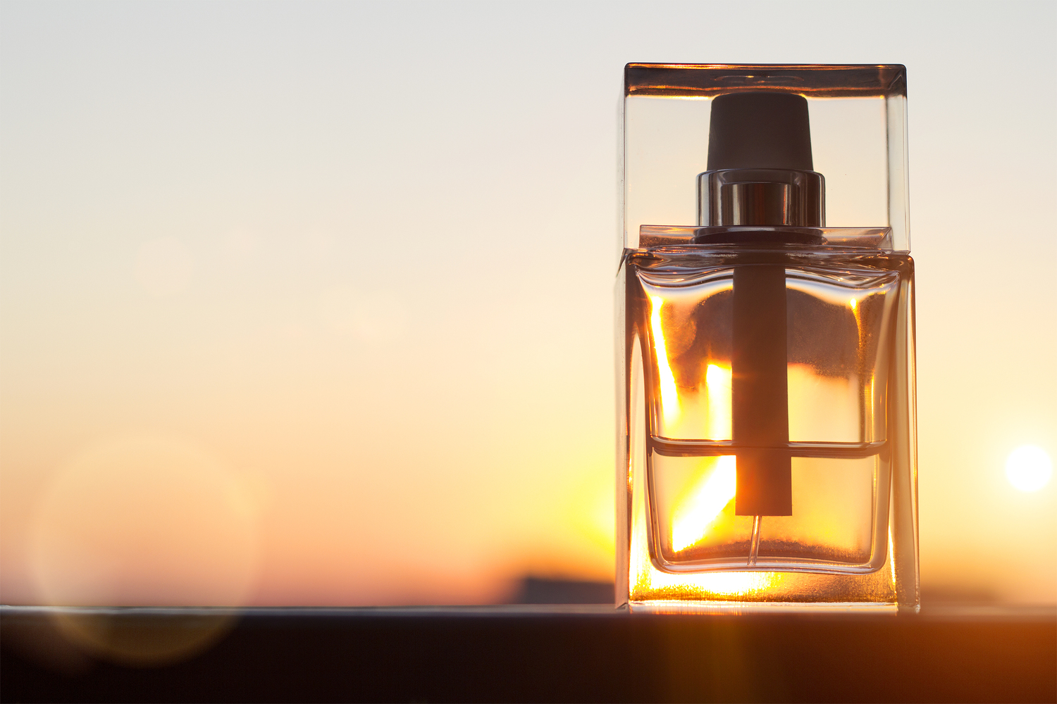 The Best Perfumes and Fragrances for Men and Women for all Occasions